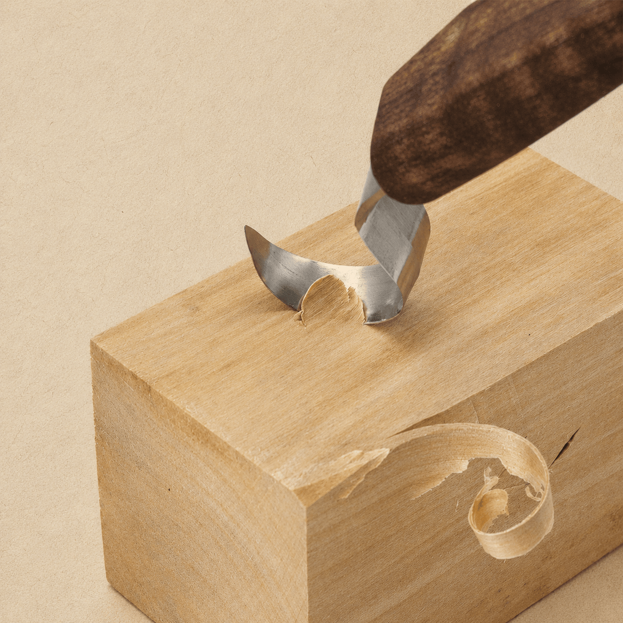 outil courbe pour sculpture bois