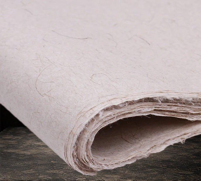 plusieurs feuilles de Papier_Xuan_semi_mur