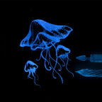 encre transparente sur feuille